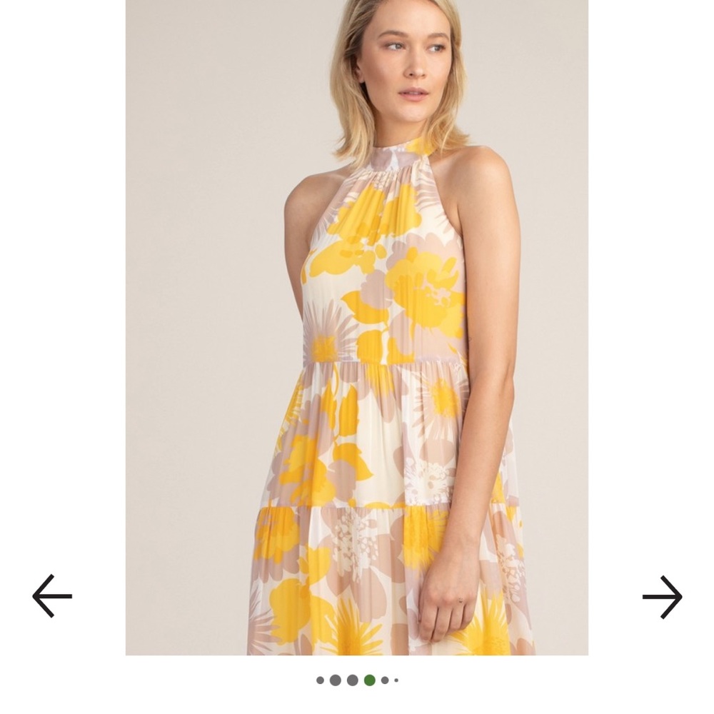 Trina Turk Sunglass Dress - Picture 4 of 9